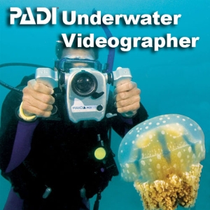 Underwater Videographer 